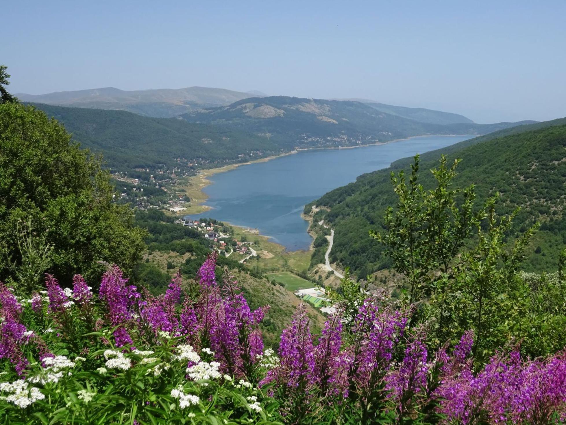 Forest View Apartment Mavrovo Exteriér fotografie